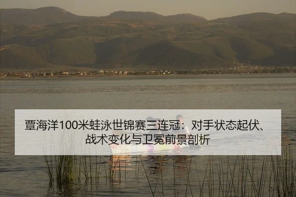 tan-hai-yang-mi-wa-yong-shi-jin-sai-san-lian-guan-dui-shou-zhuang-tai-qi-fu-zhan-shu-bian-hua-yu-wei-mian-qian-jing-pou-2-911.jpg